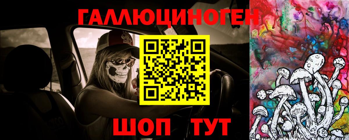 Псилоцибиновые грибы мухоморы Димитровград